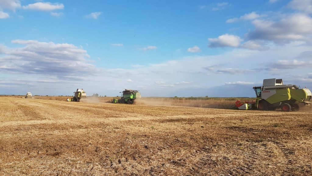 Poza-recoltat-e1556533167640